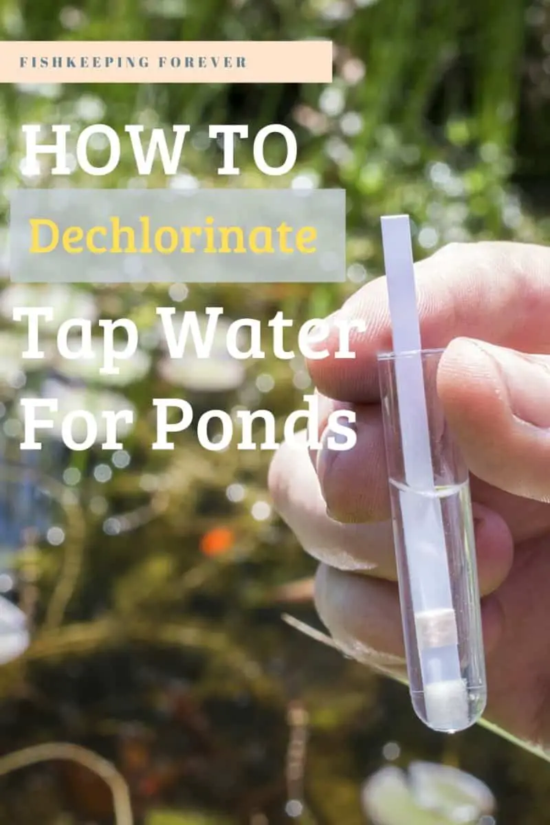 How to Dechlorinate Tap Water for Pond – Fishkeeping Forever