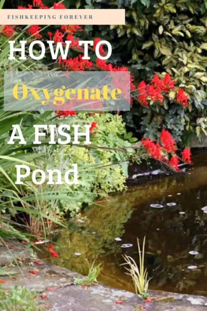 How to Oxygenate a Pond