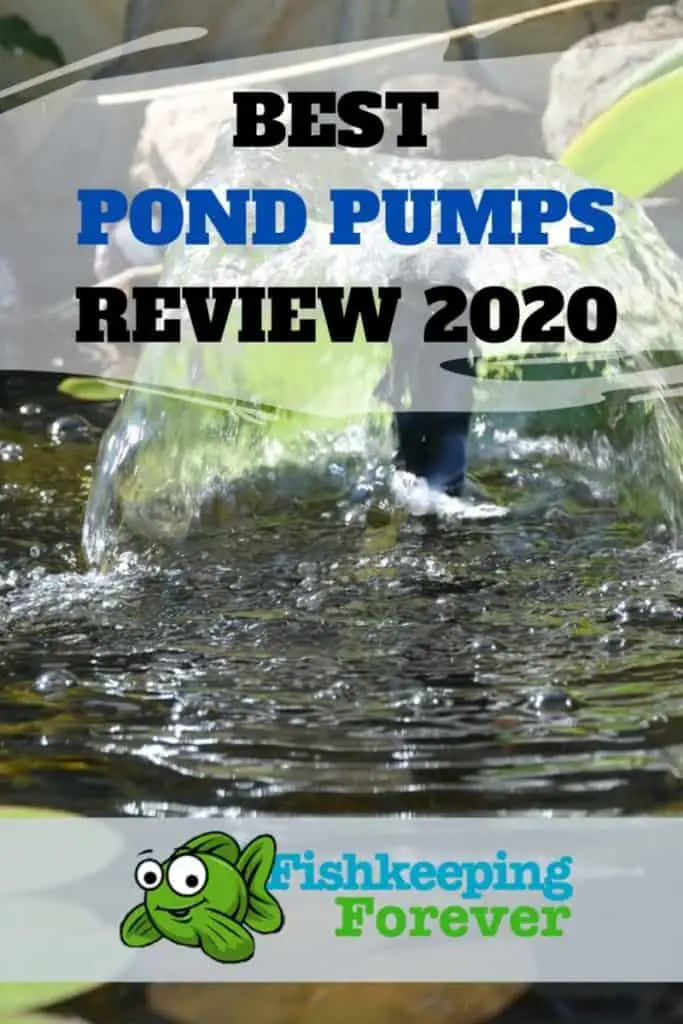 BEST POND PUMPS