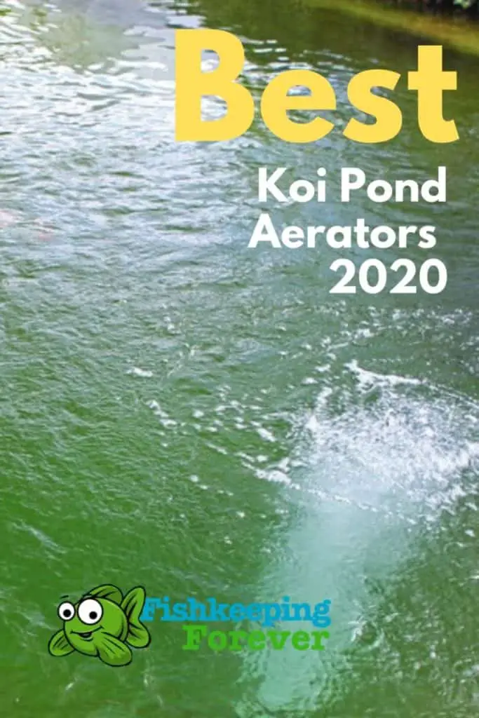 Best Koi Pond Aerators