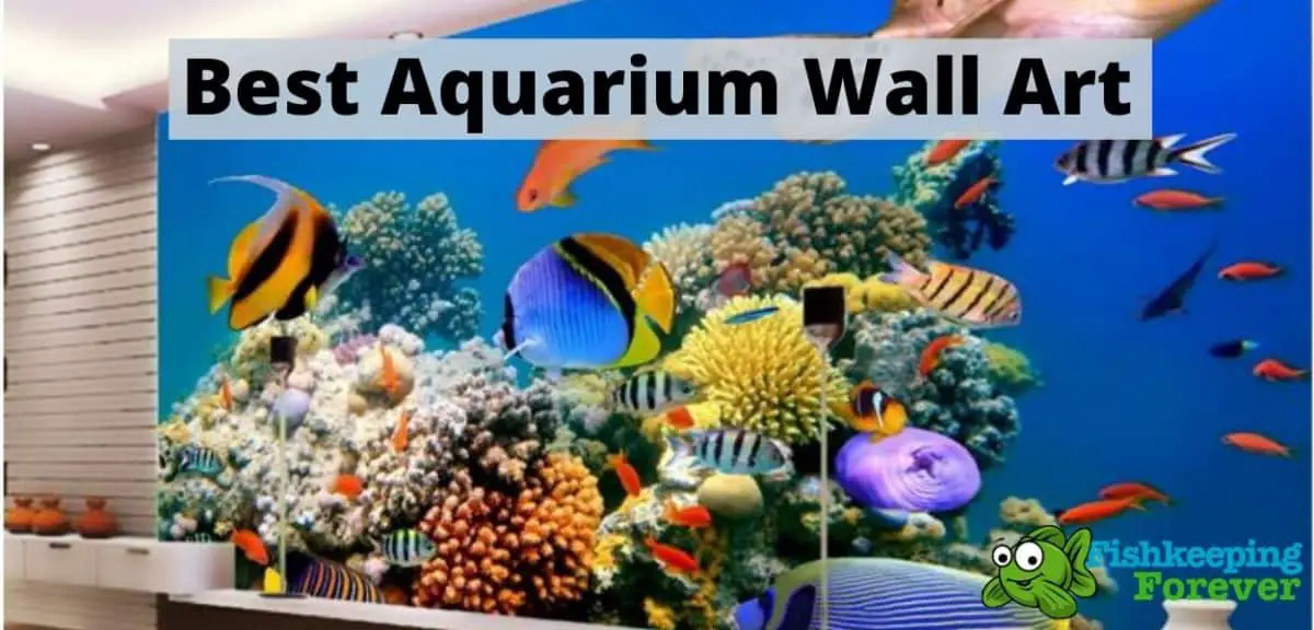 aquarium wall art