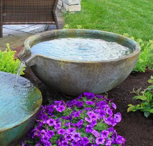 Pond in a Pot | 10 Best Pond Bowls to Create a Pond in a Pot ...