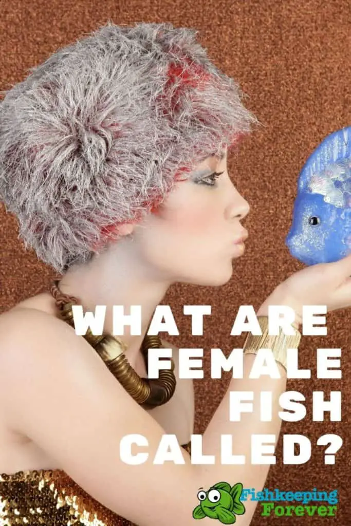 women with fish