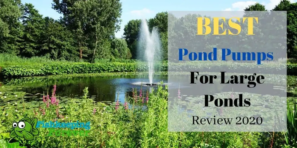 best pond pumps