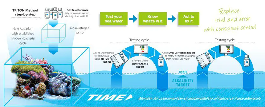 the triton method