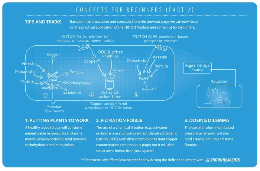 the triton method