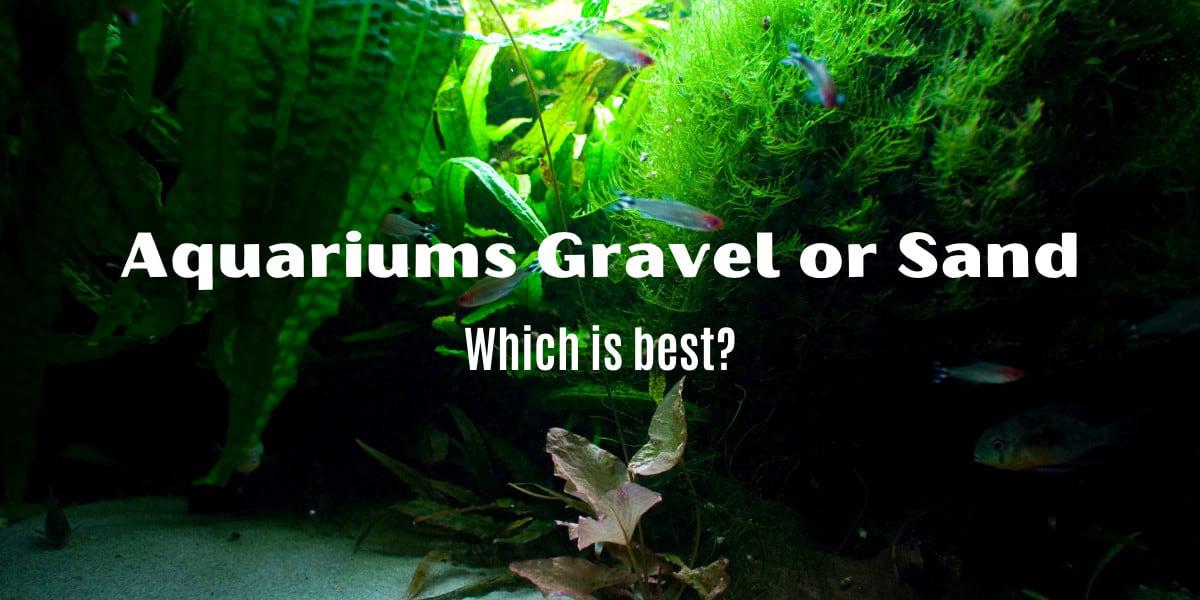 Comparing Aquarium Gravel To Sand