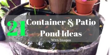 21 container and patio pond ideas