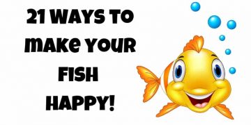 21 Ways to make you fish happy logo