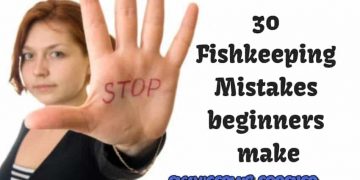 30 FishkeepingMistakes beginners make