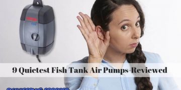 9 Quietest Fish Tank Air Pumps