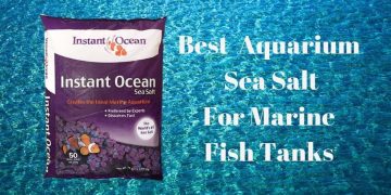 best aquarium sea salt for fish tanks