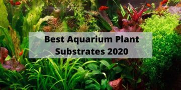 aquarium plant substrate review