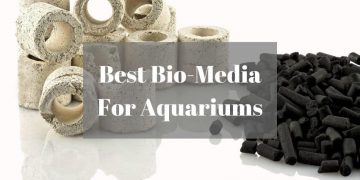 Best Bio-Media For Aquariums