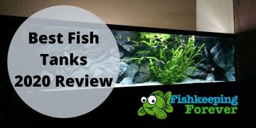 best fish tank review
