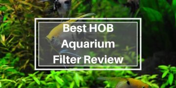 hob filter review