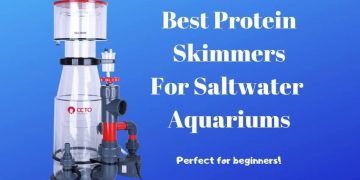 best protein skimmers