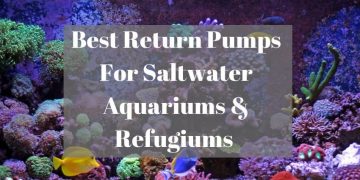 best return pumps for saltwater aquariums