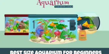 whats the best size aquarium for beginners