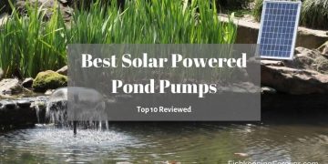 best solar powered pond pump