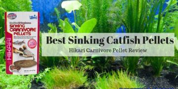 Best sinking catfish pellets