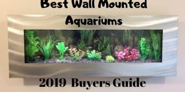 WALL MOUNTED FISH TANKS