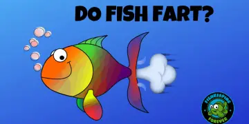 DO FISH FART