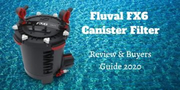 fluval fx6 review