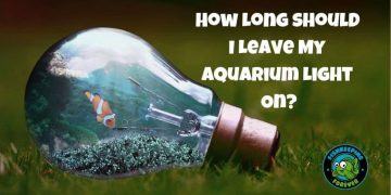 How-Long-Should-I-Leave-My-Aquarium-Light-On?