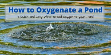 How to Oxygenate a Pond