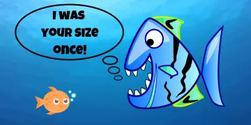 how long does it take for a pet fish to grow to full size?