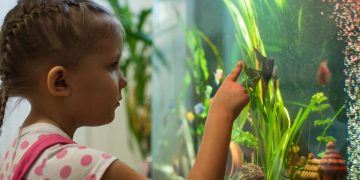 girl looking at tropical fish