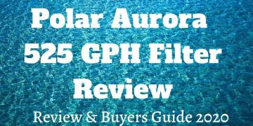 polar aurora filter review