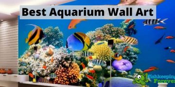 aquarium wall art