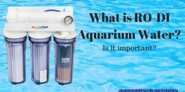 What-is-RO-DI-aquarium-water-and-is-it-important?