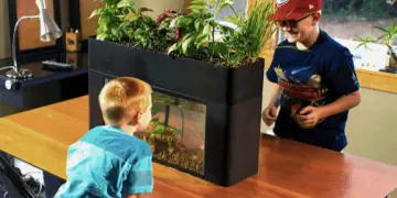 aquaponic aquarium