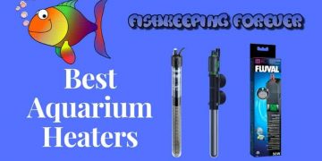 best aquarium heaters