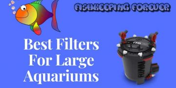 best filters for larger aquariums