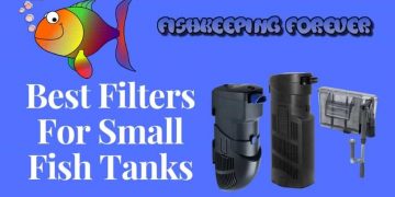 best filters for small fish tanks
