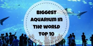 biggest aquarium in the world