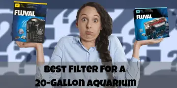 best filter for a 20 gallon aquarium