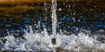 fish pond fountain