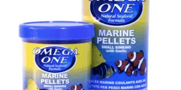 marine pellets fish food