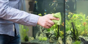 article on the cost of maintaining a fish tank.