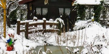 frozen garden pond